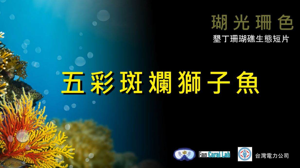 五彩斑斕獅子魚